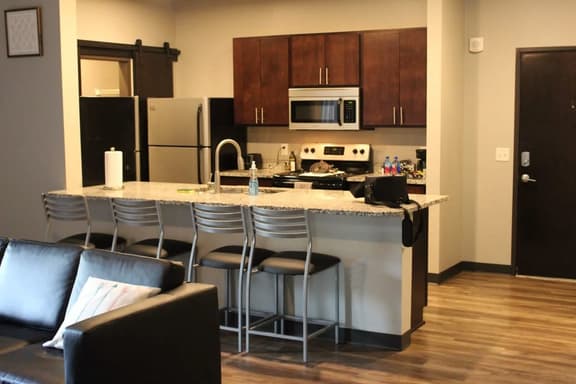 Walk to Jack Trice Stadium & Reiman Gardens Apt - Image 1
