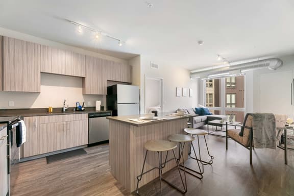 Spacious and Modern With Premium Amenities Near U of M - Image 1